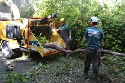 tree services Calumet Park